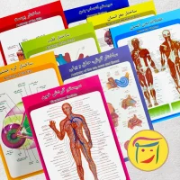 پوستر اعضای بدن انسان - 14 مدل مختلف