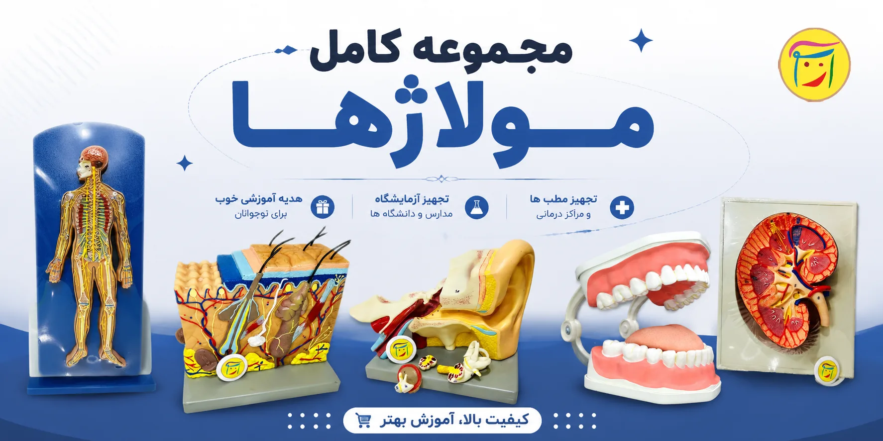 فروشگاه اسباب آموزشی فکری ریاضی بازی آریو 71 مجموعه مولاژها