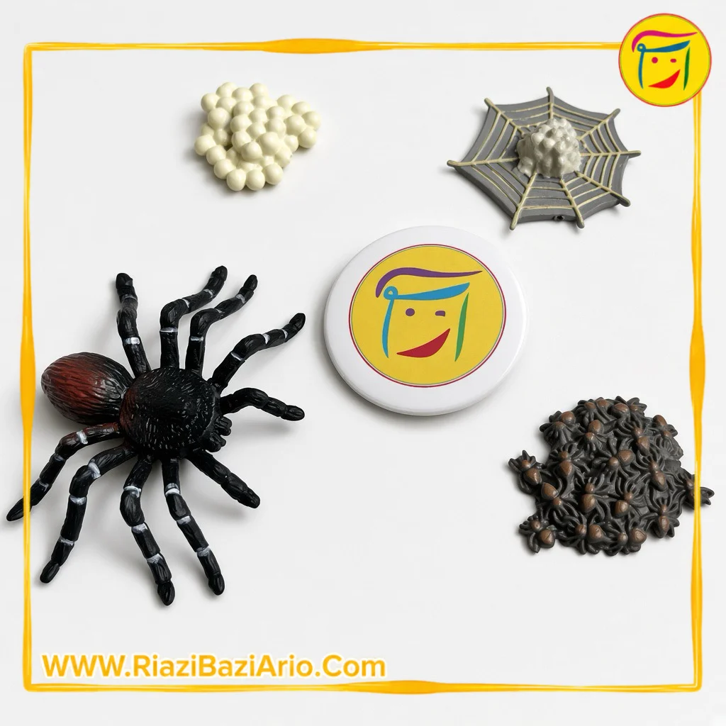 چرخه زندگی عنکبوت چرخه زندگی عنکبوت