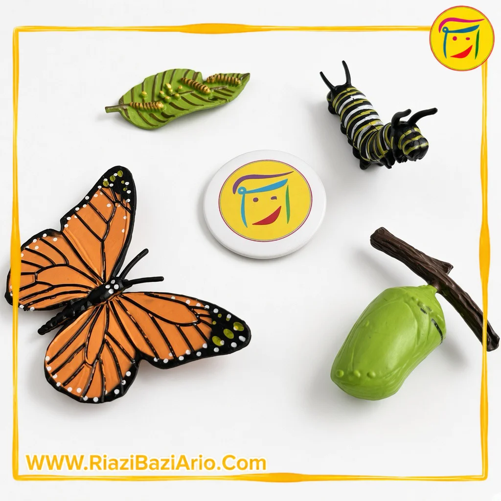 چرخه زندگی پروانه چرخه زندگی پروانه