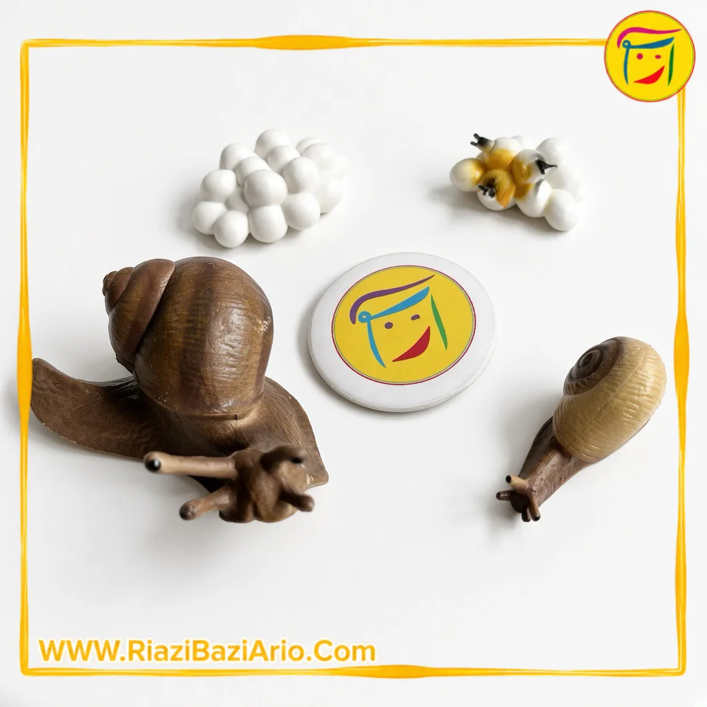 چرخه زندگی حلزون چرخه زندگی حلزون